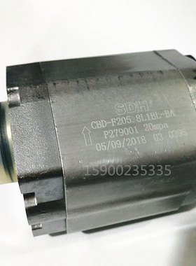 SDH液压油泵齿轮泵CBD-F205.8L1BL-BA CBD-203.7CBD-F204.2液压泵