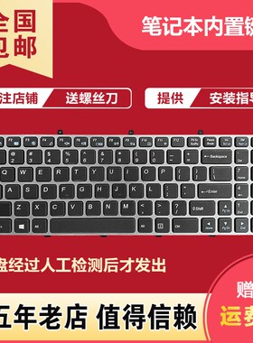 适用神舟战神T5-G4 T6-S7D1 T6-G4 W650D键盘炫龙毁灭者DD PRO DC