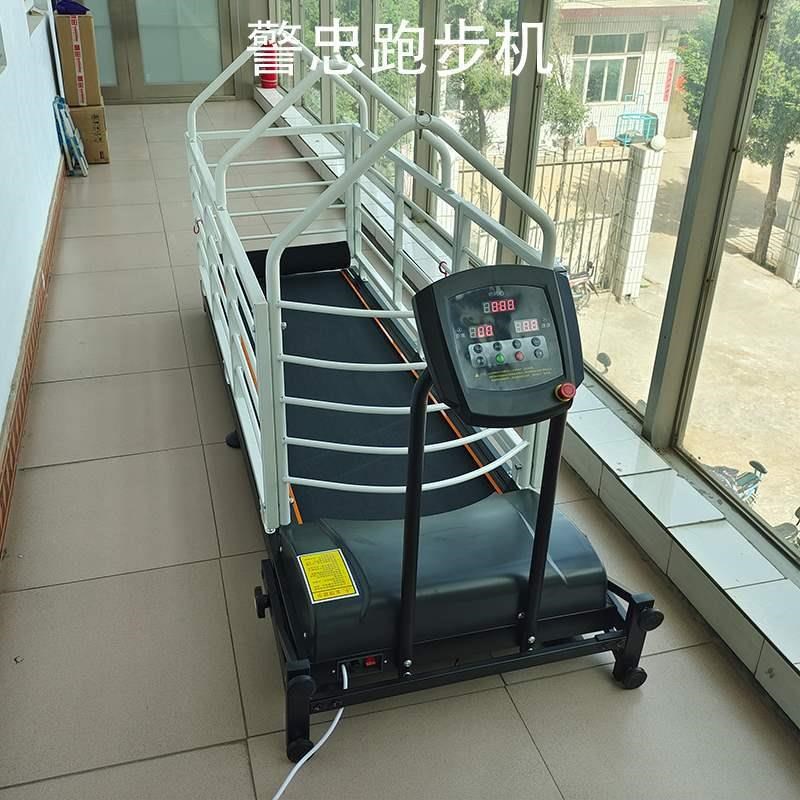宠物跑步机狗狗跑步机犬用溜狗惠比特细狗动物.训练跑步机