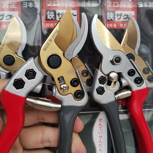 加厚锋利修枝剪修花剪枝园艺剪省力SK5强力果树剪刀园林工具