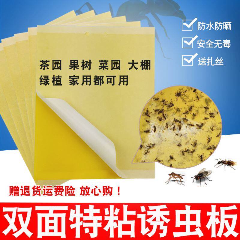 草莓沾蚊子粘胶杀虫粘虫板粘贴驱虫害虫茶叶黏虫双面胶茶园防虫占
