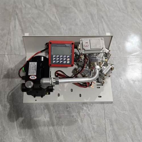 柴油电动抽油泵12V24Vt220v全自动大功率加油枪车载挂吨桶式加油