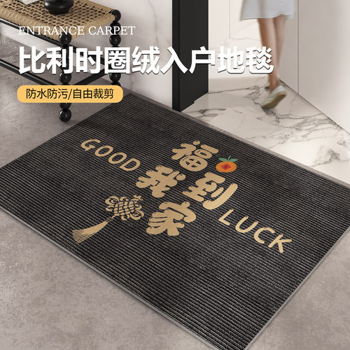 入户门地垫耐脏免洗防滑进门门垫2024新款玄关蹭脚垫Y门口脚垫地
