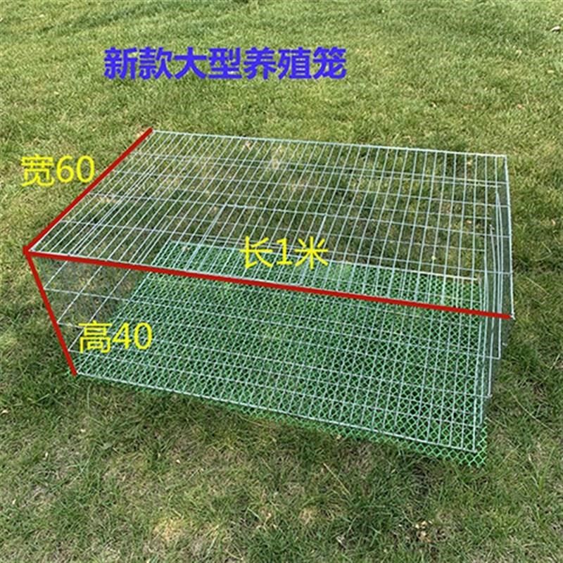 加粗加密兔笼家用鸽子养殖笼鸡笼家用鹌鹑笼铁丝镀锌笼运输笼大号
