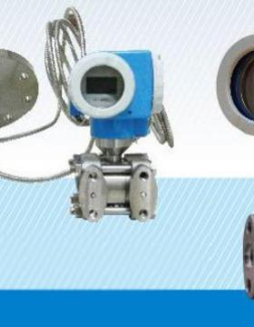 瑞普三元/恩德斯豪斯PMC531-D32A2P6G1G/PMC534-11EA2P6/PMC534Z