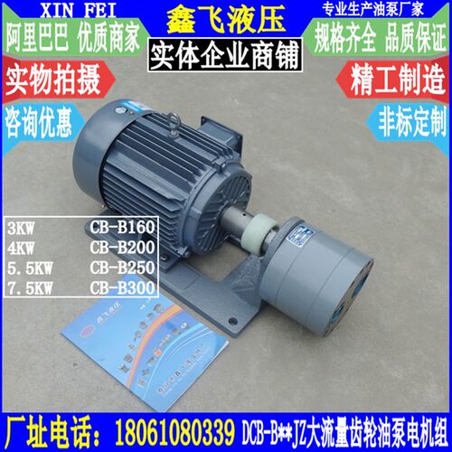 WBZ-DCB-TXLB-XTCB-B160 HYCB-B200 B250JZ大流量齿轮油泵电机组