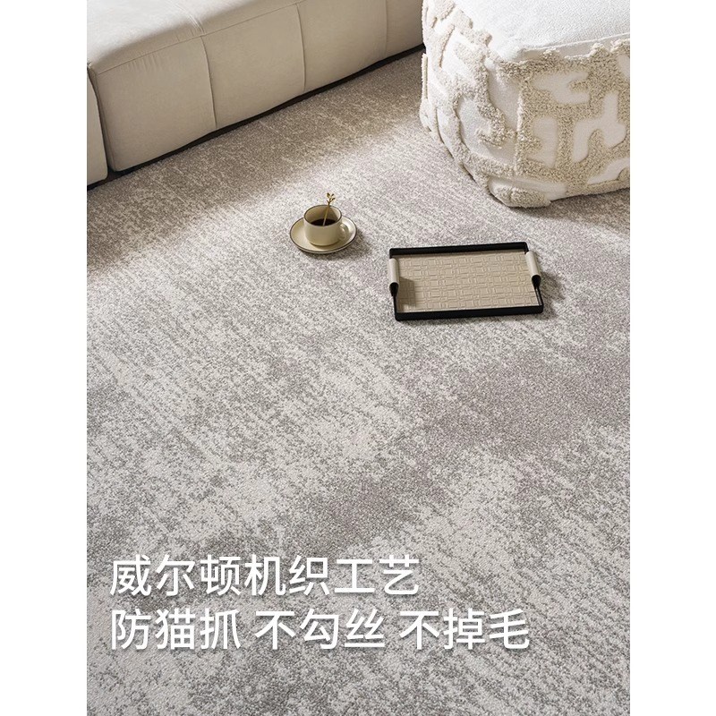 防水抗污无胶地毯客厅现代简x约抽象意式极简风烟灰色卧室耐脏地