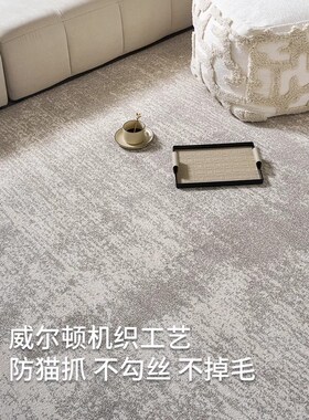 防水抗污无胶地毯客厅现代简x约抽象意式极简风烟灰色卧室耐脏地