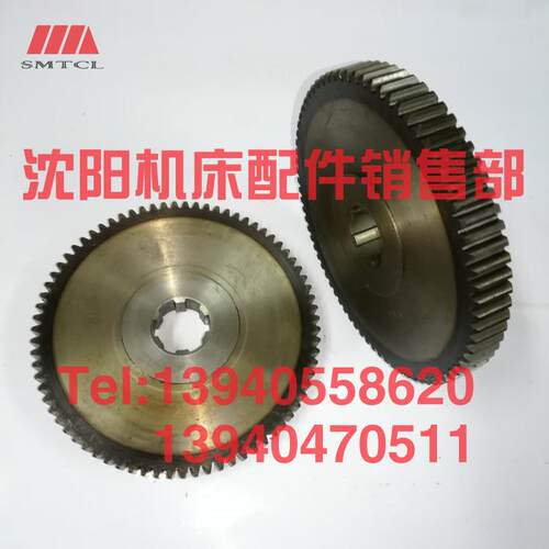 沈阳机床管螺纹车床S1-245B S1-262A齿轮8004 Z75外径173 S1-245A