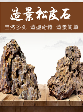 鱼缸造景 天然松皮石造景假山石头小块盆景多孔 草缸造景装饰大块