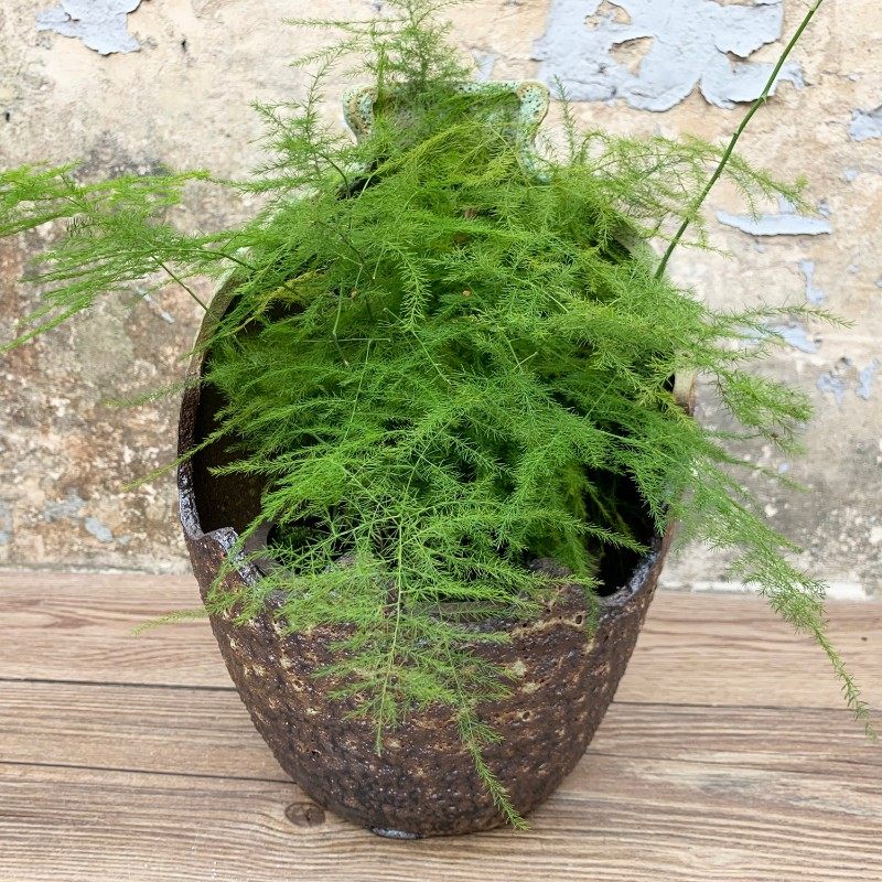 手工陶艺粗陶多肉绿植花卉花盆古典陶瓷个性创意土陶罐子桌面盆景