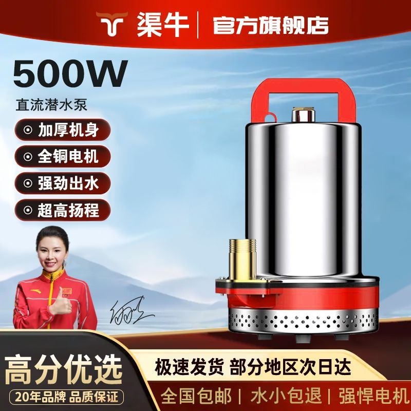 【30天热销945件】直流潜水泵48V60V家用农用灌溉12v抽水泵电动车