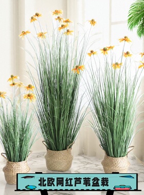 仿真绿植造景芦苇松果菊高端盆栽大型植物室内装饰家居服装店摆件
