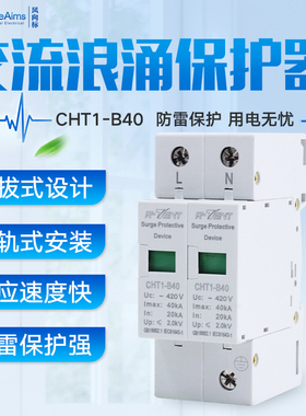 浪涌保护器 家用防雷器2P 40KA急速防雷 避雷器 电涌开关220V包邮