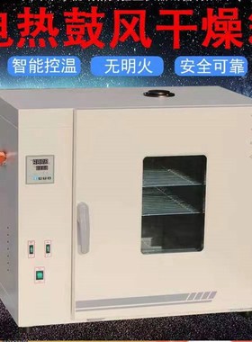 FX101-0树立101-1电热鼓风干燥箱101-2烘烤箱水分烘干箱