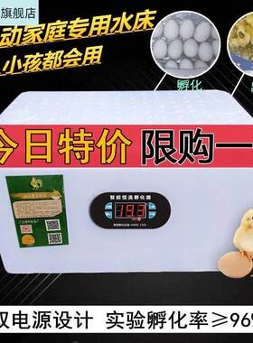 机器小鸡孵化机呼化器孵小鸡的家用全自动家用型小型敷鸡蛋器鹌鸭