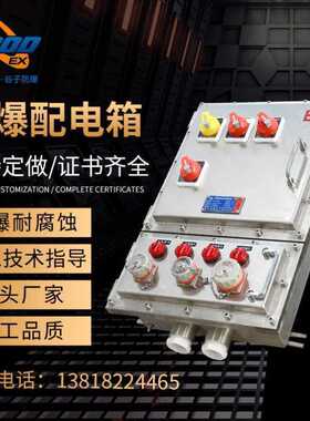 防爆配电箱 隔爆空箱体动力柜不锈钢仪表检修照明控制 触摸屏PLC