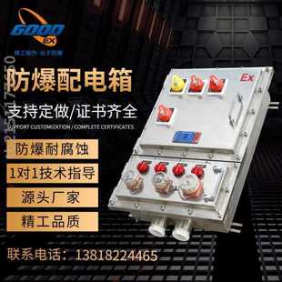 防爆配电箱 隔爆空箱体动力柜不锈钢仪表检修照明控制 触摸屏PLC