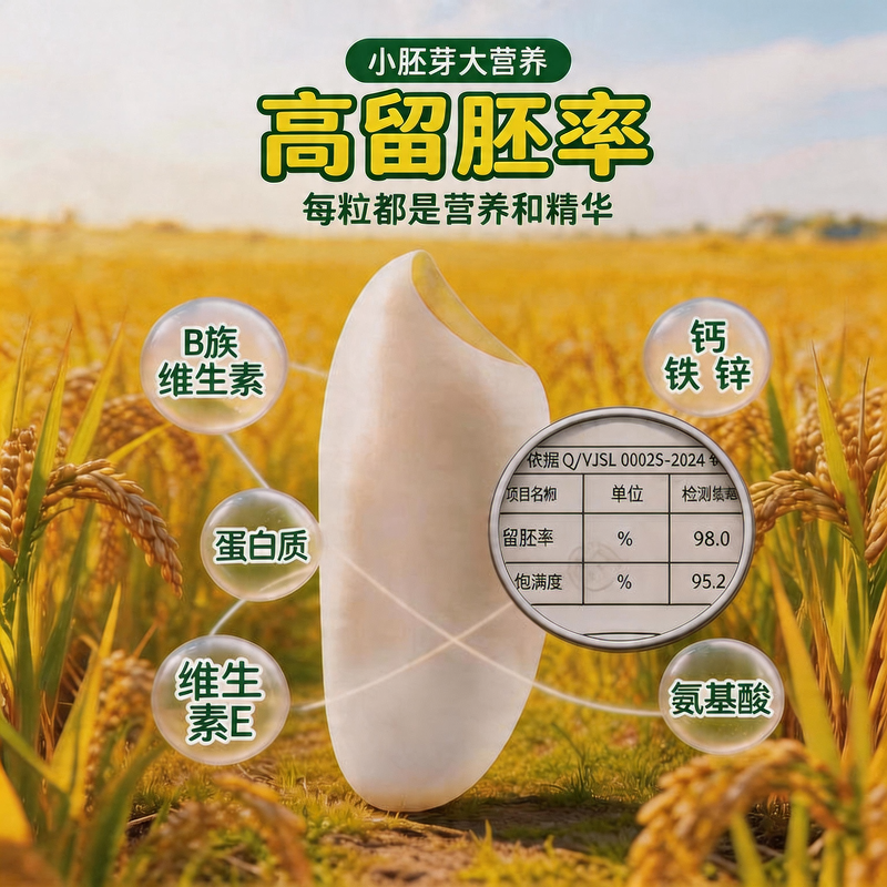 泰国进口胚芽米新米鲜米猫牙米长粒香米进口有胚芽大米农家米5kg