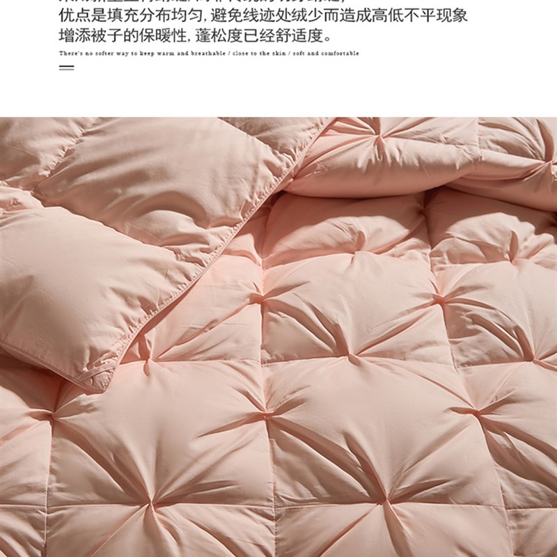 羽绒被95白鹅绒冬被春秋四季被10斤加厚保暖单双人W被芯被子羽绒
