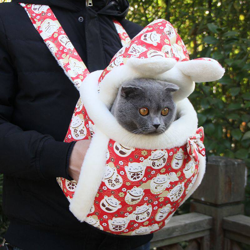 猫咪外出双背包可携式冬季保暖宠物狗狗外出包卡通猫书包用品大容