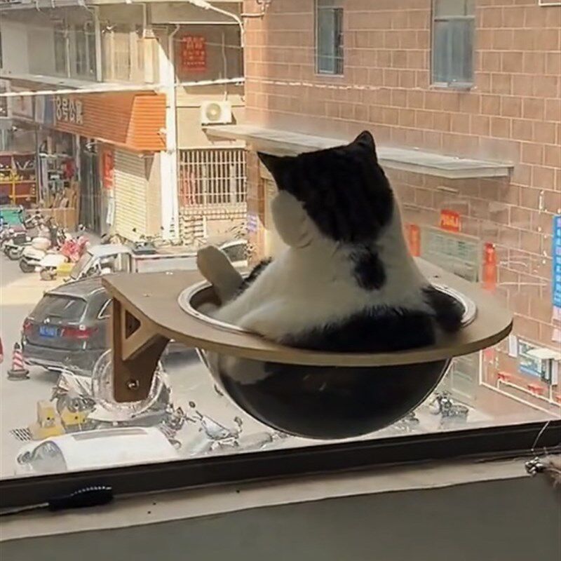 新款玻璃吸盘猫爬架太空舱一体窝壁挂式瓷砖实木猫墙猫跳台吊床