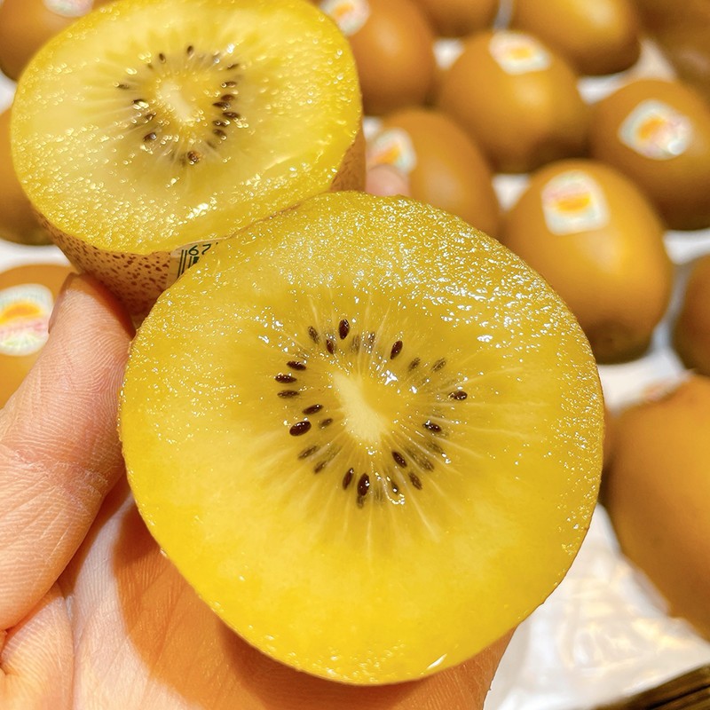 【放软食用】黄金奇异果当季现摘现发新鲜黄心猕猴桃软糯香甜