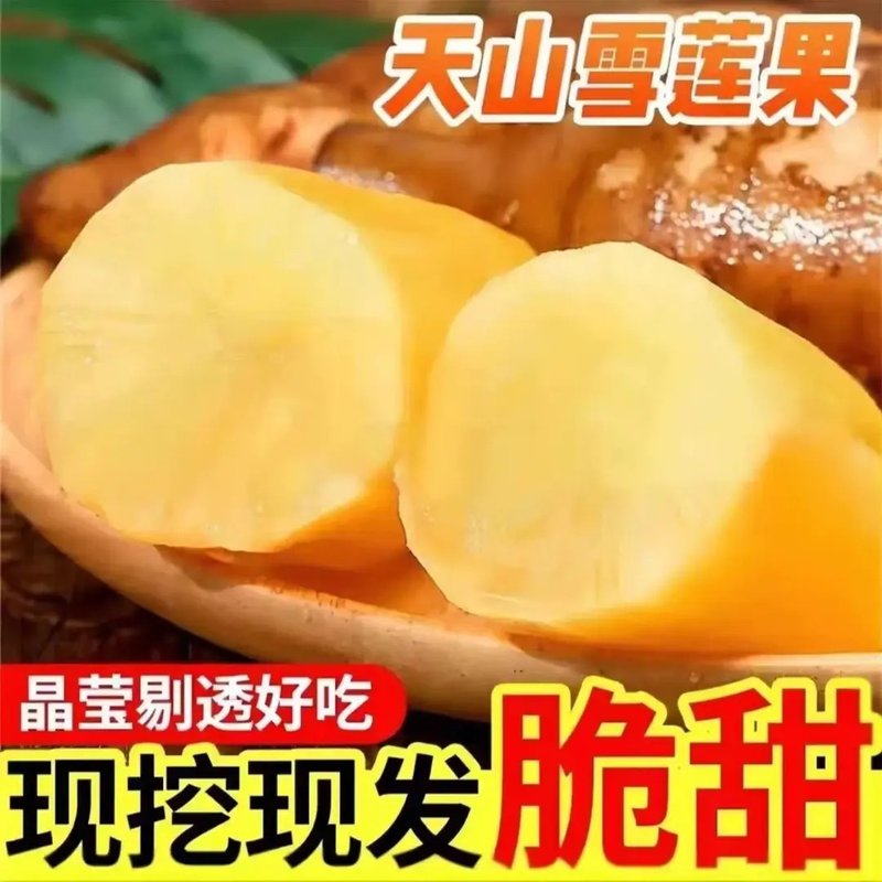 【新果现挖】正宗云南雪莲果高山应季新鲜水果现挖黄肉水果脆爽多