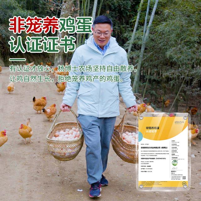 【年定价格享单箱土鸡蛋50枚】杨博士皖南散养土鸡蛋新鲜营养好吃