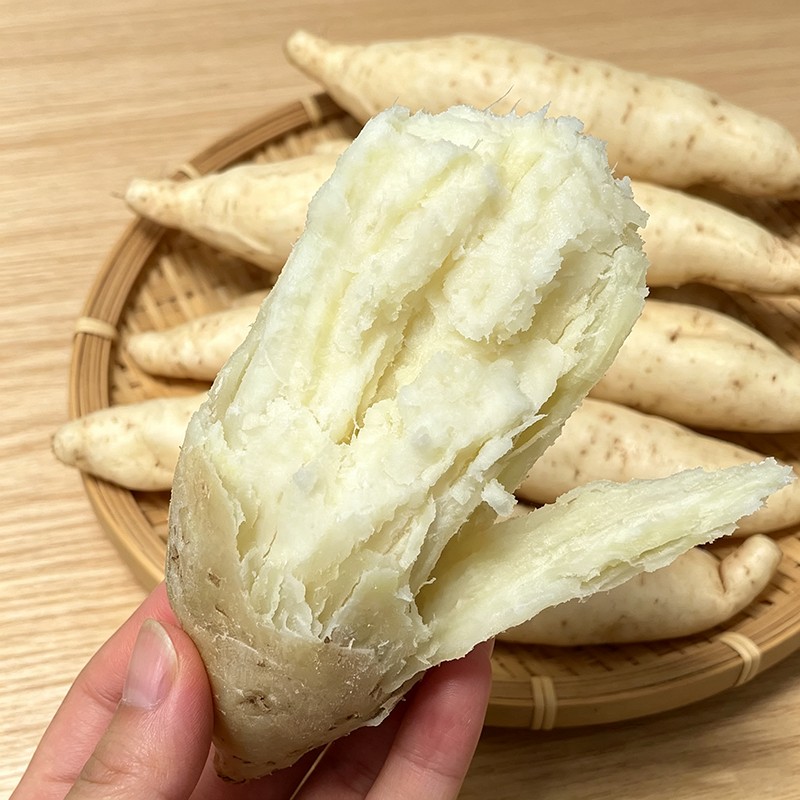 新鲜牛奶人参薯粉糯香甜白皮白心地瓜轻食营养早餐番薯红薯正宗