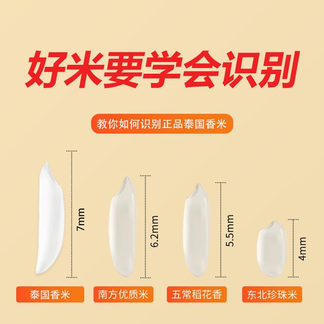 泰国长粒香大米颗粒新米茉莉香大米细长粒清香猫牙米10斤/5斤籼米