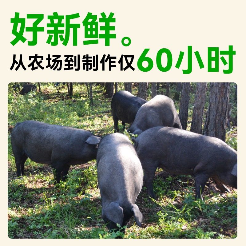自由肉肉安心山林黑猪肉小笼包老面手工鲜猪肉包子开学早餐半成品
