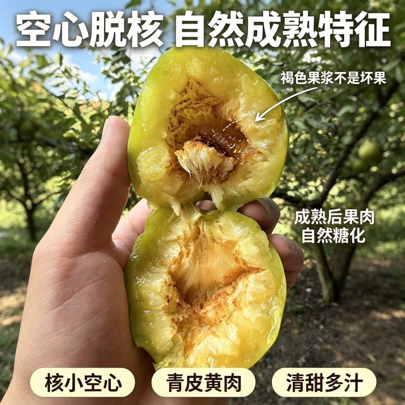 《》古田特产高山油奈新鲜青脆李脱骨脆甜爽口多汁当季水果