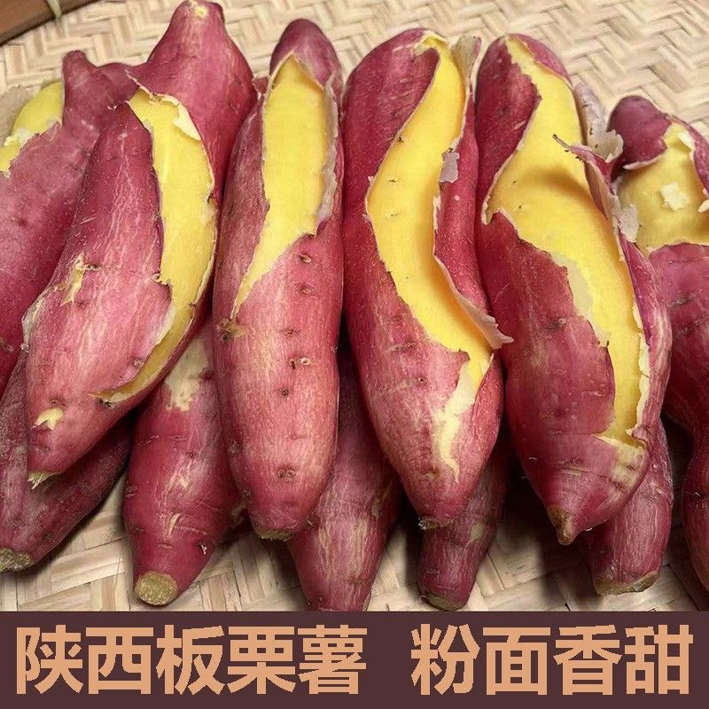 陕西临潼板栗红薯新鲜现挖5斤粉面香甜地瓜小番薯农家地瓜香薯