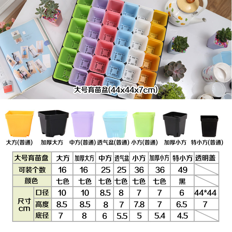 加厚育苗盒小白方整理方形育苗盘多肉育苗盆托盘大黑叶插盆收纳框