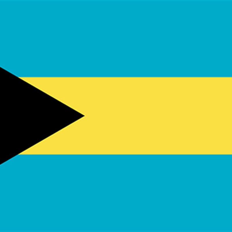 包邮 定制1号192*288CM 巴哈马国旗 防水防晒 可订做各国旗帜