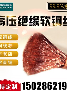 国标软铜线16平方25平方铜芯电缆线高压接地线电焊机焊把线铜鼻子