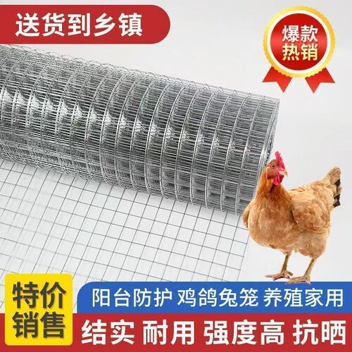 热镀锌钢丝网加粗超硬铁丝网鸡鸭鹅养殖网封窗网防猫防护铁网格网