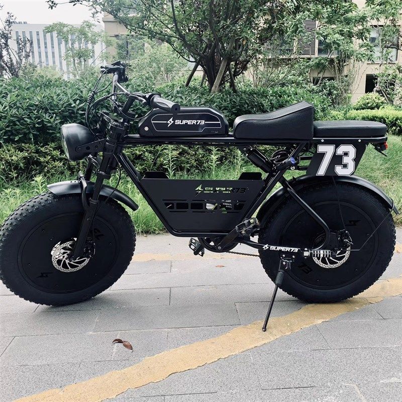 电动自行车新款成人城市代步车O双人越野电动车