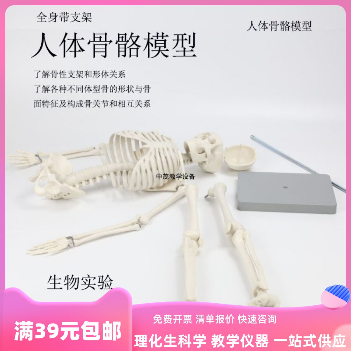 33204人体骨骼模型(85cm)全身带支架教学小学科学初中生物模型教