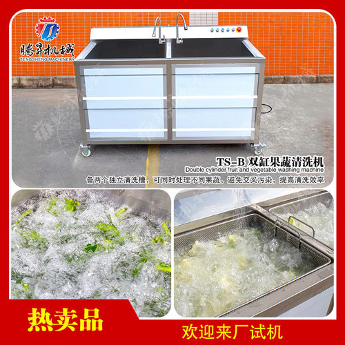 水果店专业多功能水果清洗机 双缸苹果清洗机 百香果清洗机