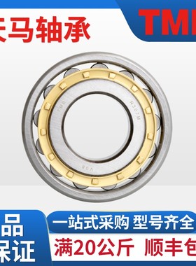 TMB天马正品原厂圆柱滚子轴承N309EM/Z1 45*100*25 mm