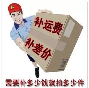 补差价补邮费未上架产品付款运费补拭税点税金10个=1元子