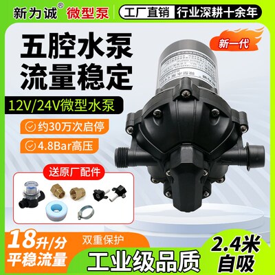 微型隔膜泵新为诚品牌12V小型电动抽水泵24v微型自吸水泵BSP48180