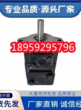 T6C-010-1R00-A1丹尼逊叶片泵T6C T6D T6E T6C-008/012/017/031