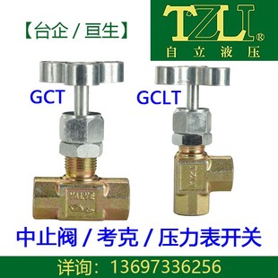 TZLI台企中止阀压力计表开关考克GCLT-02 GCT-03 90度弯角直通180