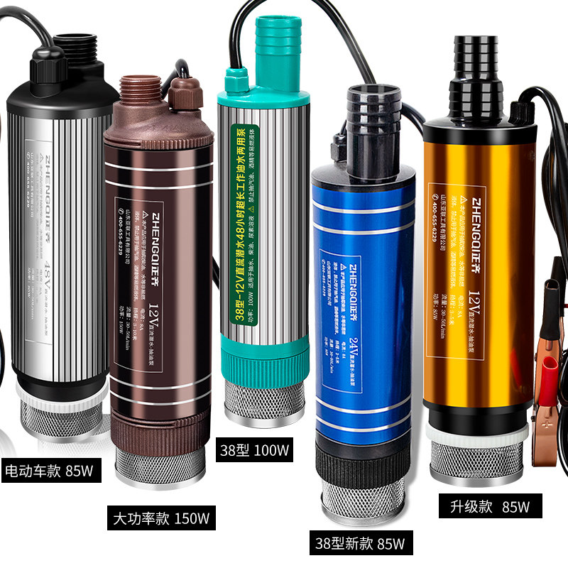 电动抽油泵12v24伏套装大功率直流2F20吸水泵小型抽子神器直流柴