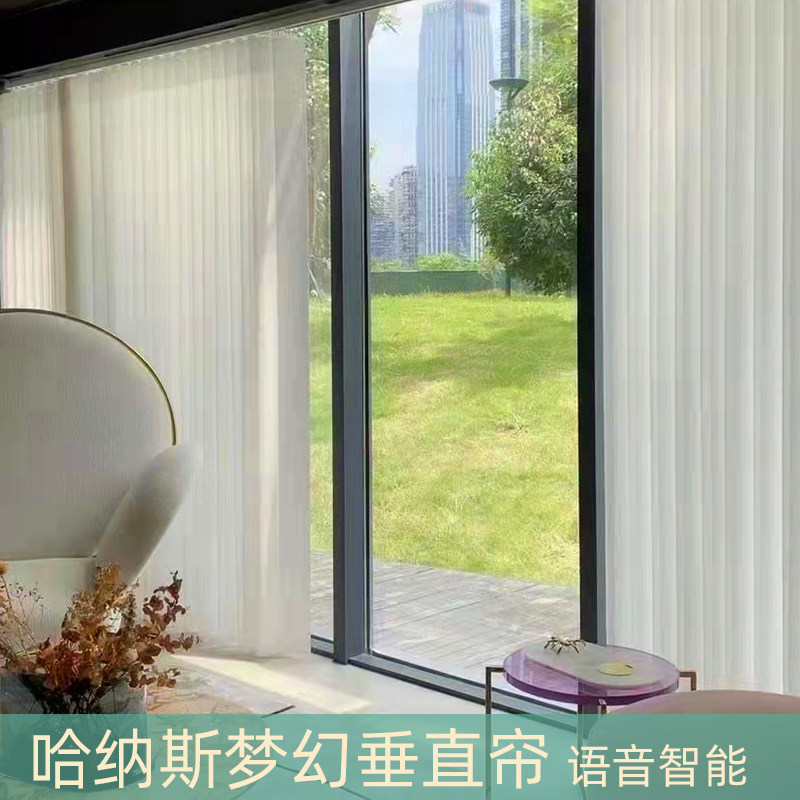 电动梦幻帘客厅窗帘透光不透人纱帘阳台落地窗卧室.遮光垂直帘