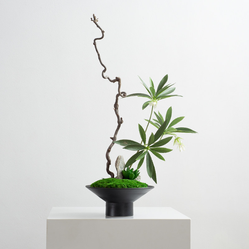 新中式绿a植苔藓盆景摆件日式小原流花道插花艺餐厅茶室样板间摆