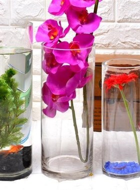 花盆特大水晶小号花瓶玻璃透明加厚长筒绿植富贵竹家居Z圆柱体餐